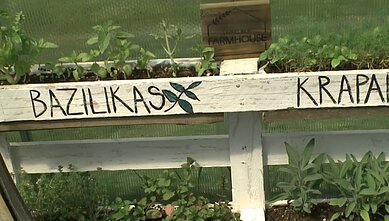 Tinklaraštininkės šiltnamyje – ir daržovės, ir ramybės oazė