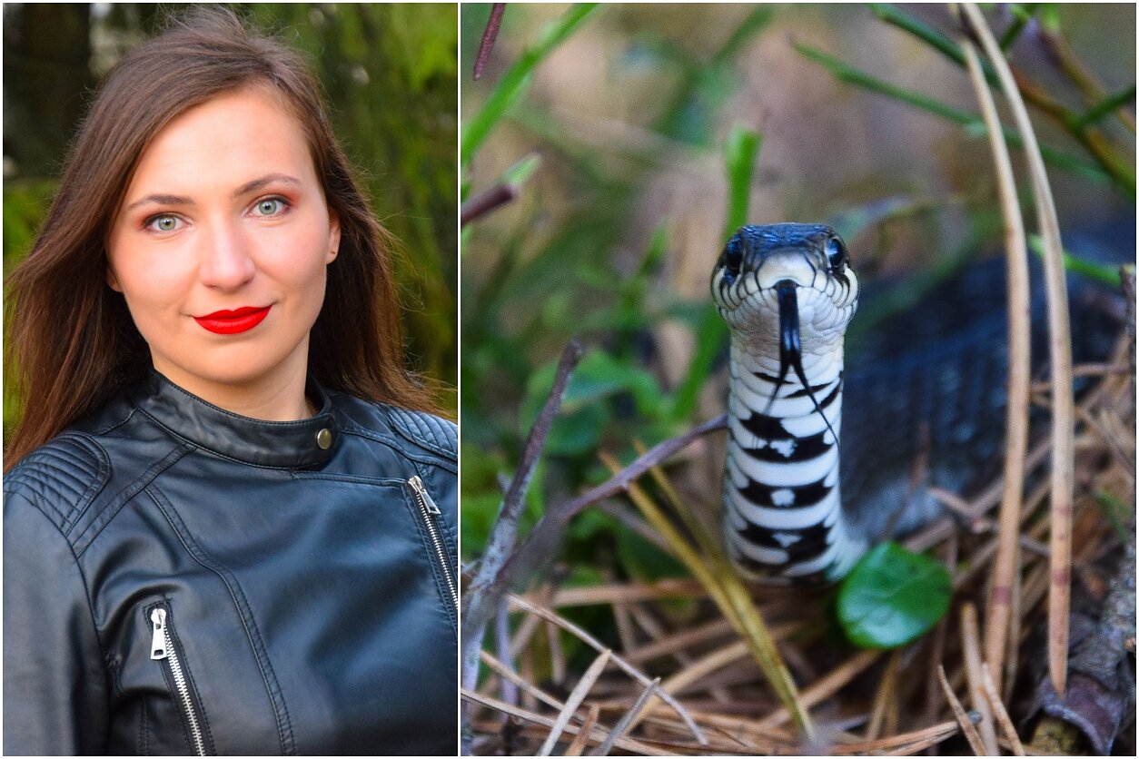 Jolita Pretkutė, gyvatė