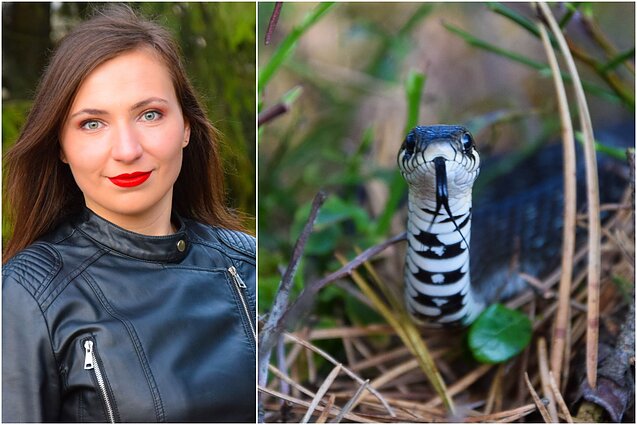 Jolita Pretkutė, gyvatė