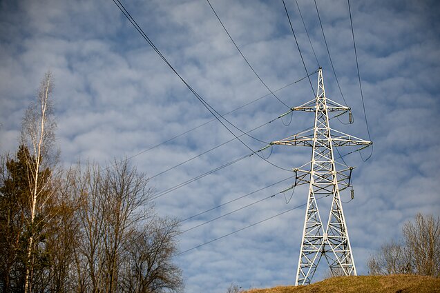 Elektra; elektros tinklai