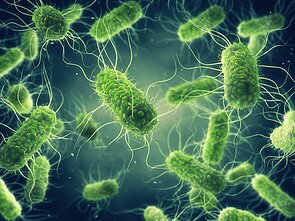 Salmonelės / salmoneliozė
