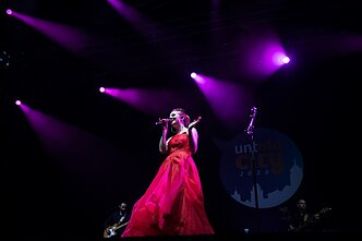 Ievos Narkutės koncerto akimirka