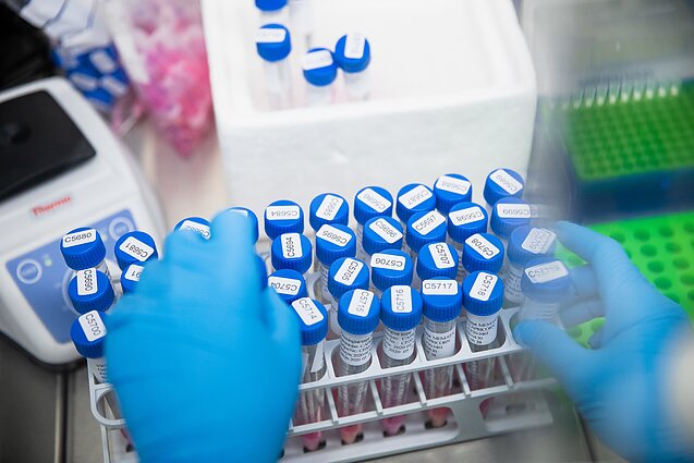 VU Gyvybės mokslų centro laboratorija