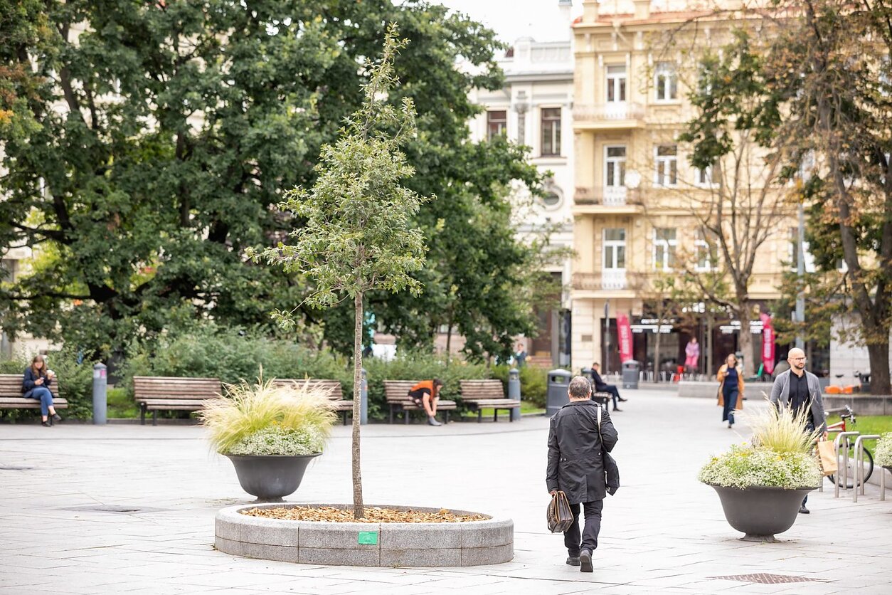 Odminių skveras