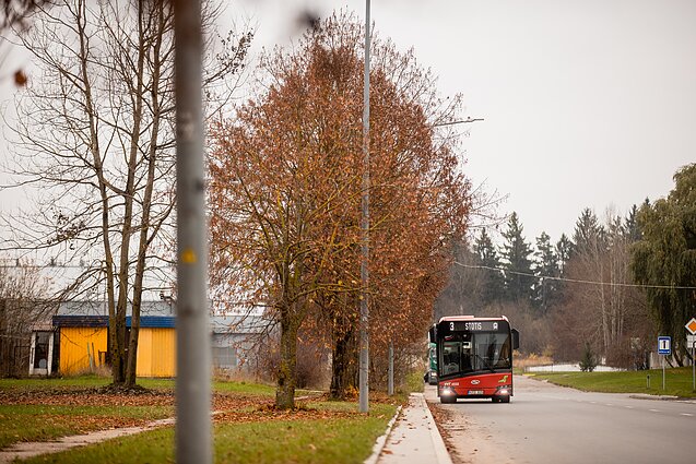 Autobusas