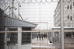 Vilniaus pataisos namai