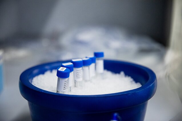 COVID-19 mėginių tyrimas laboratorijoje. Asociatyvi nuotr.