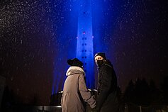 Vilniaus televizijos bokštas