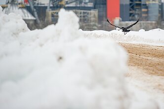 Vilniaus erdvėse sukastas sniegas vežamas į sąvartyną prie Gariūnų Vilniaus erdvėse sukastas sniegas vežamas į sąvartyną prie Gariūnų