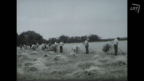 (Pra)rasta karta. Maistas, kolūkiai, eilės