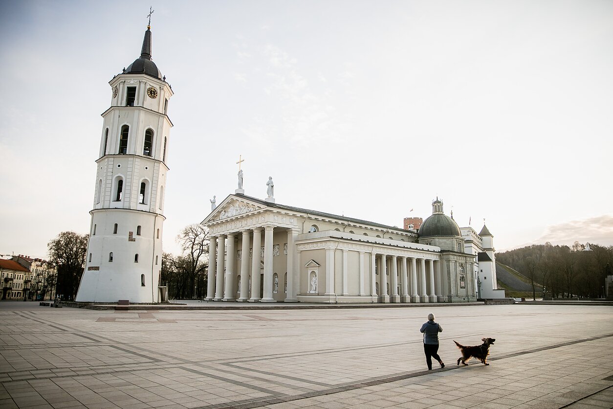 Vilniaus katedra Vilniaus katedra