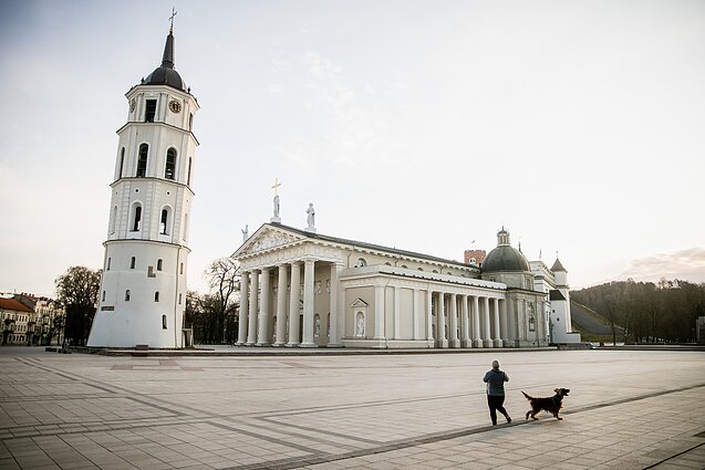 Vilniaus katedra Vilniaus katedra