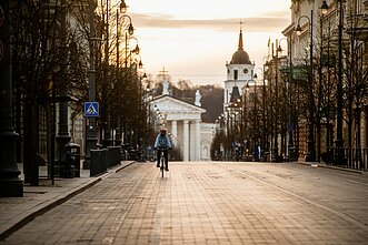 Vilniaus katedra