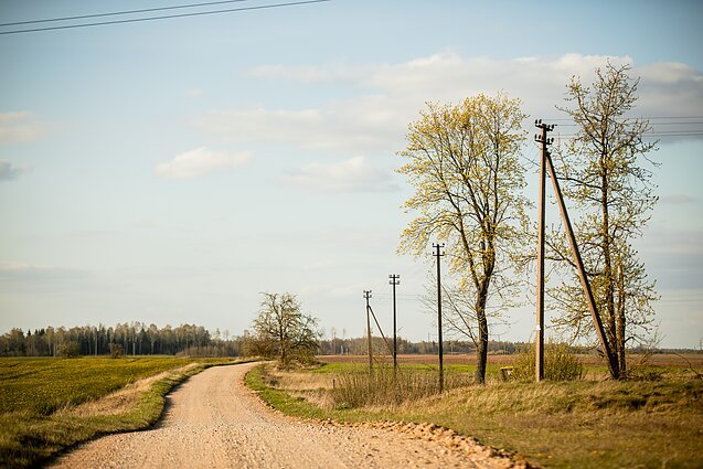 žvyrkelis