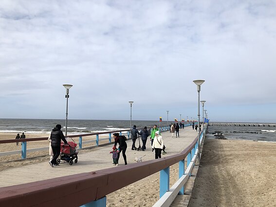 Palanga / Asociatyvi Palanga / Asociatyvi