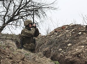 Ukrainos kariai šalies rytuose