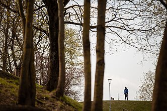 Ekonomika, asociatyvi nuotr.