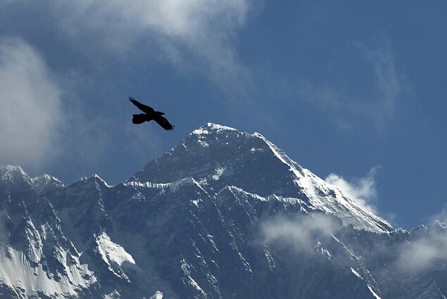 Everestas