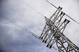 Elektra. Asociatyvi nuotr. Elektra. Asociatyvi nuotr.