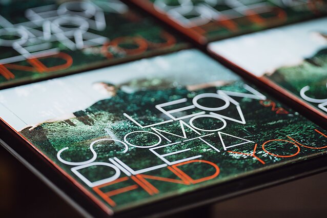 Leono Somovo ir Diletos albumas