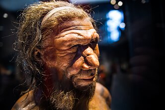 Neandertalietis, asociatyvi nuotr.