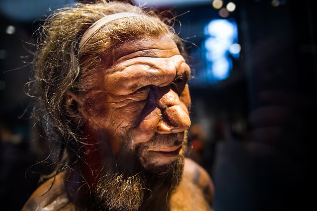 Neandertalietis, asociatyvi nuotr.