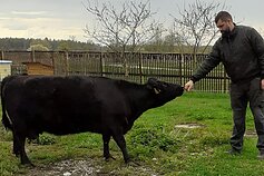 Astromskų deksterių ūkis ir moliūgų kiemas