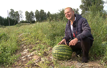 Nelijus Zaleckis