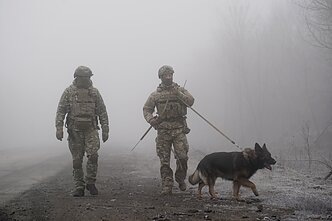 Ukrainos kariai