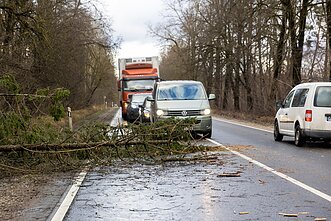 Stiprus vėjas laužė medžius. Asociatyvi nuotr.
