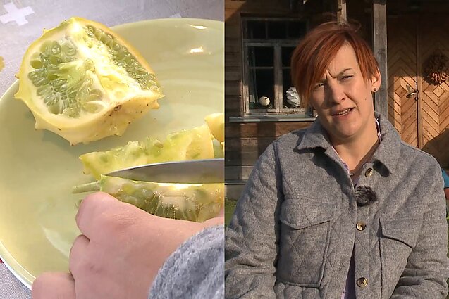„Kiwano“ agurkas, Eglė Mikolaitytė. Asociatyvus koliažas „Kiwano“ agurkas, Eglė Mikolaitytė. Asociatyvus koliažas