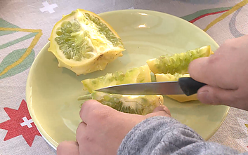 „Kiwano“ agurkas „Kiwano“ agurkas