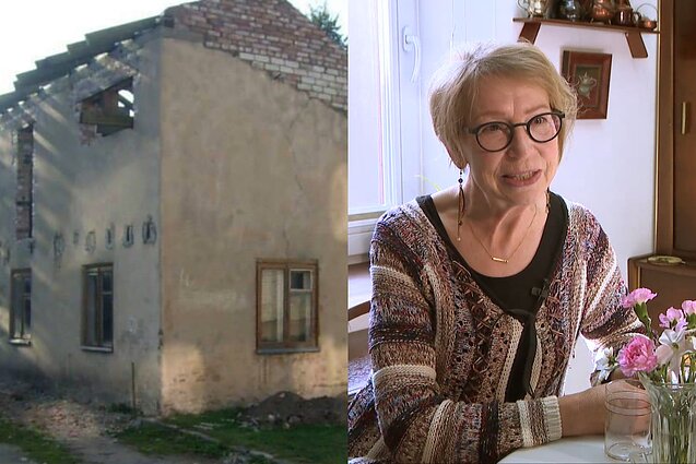 Vitalės Žiūkienės namai