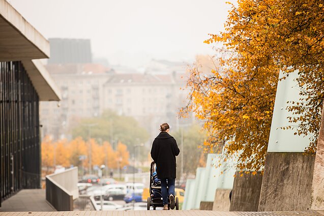 Vilnius Vilnius