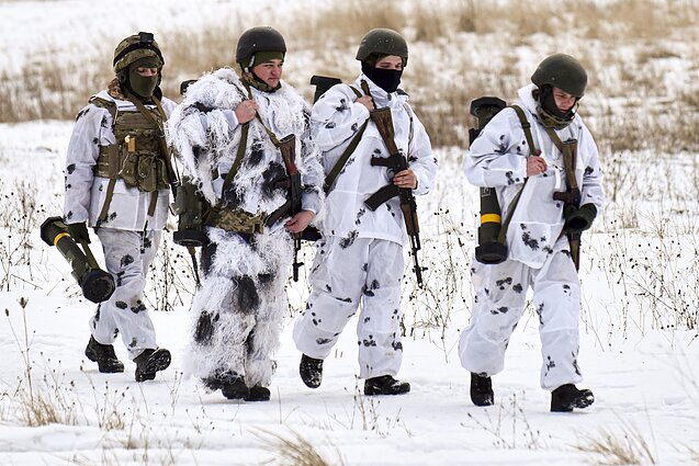 Ukrainos kariai