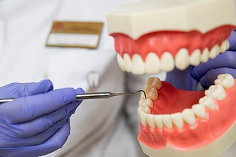 Dental services
