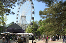 Festivalis „Myliu Palangą“