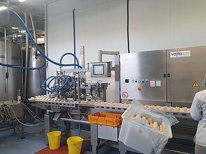 Ledų fabrikas Vilkaviškyje