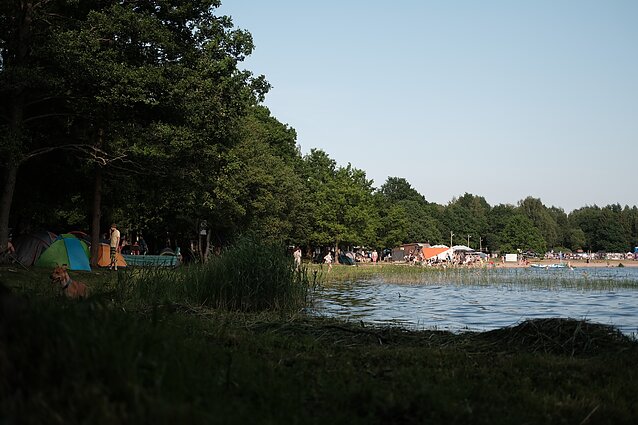 Festivalio „Bliuzo naktys“ akimirka