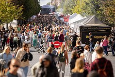 „Sostinės dienos“
