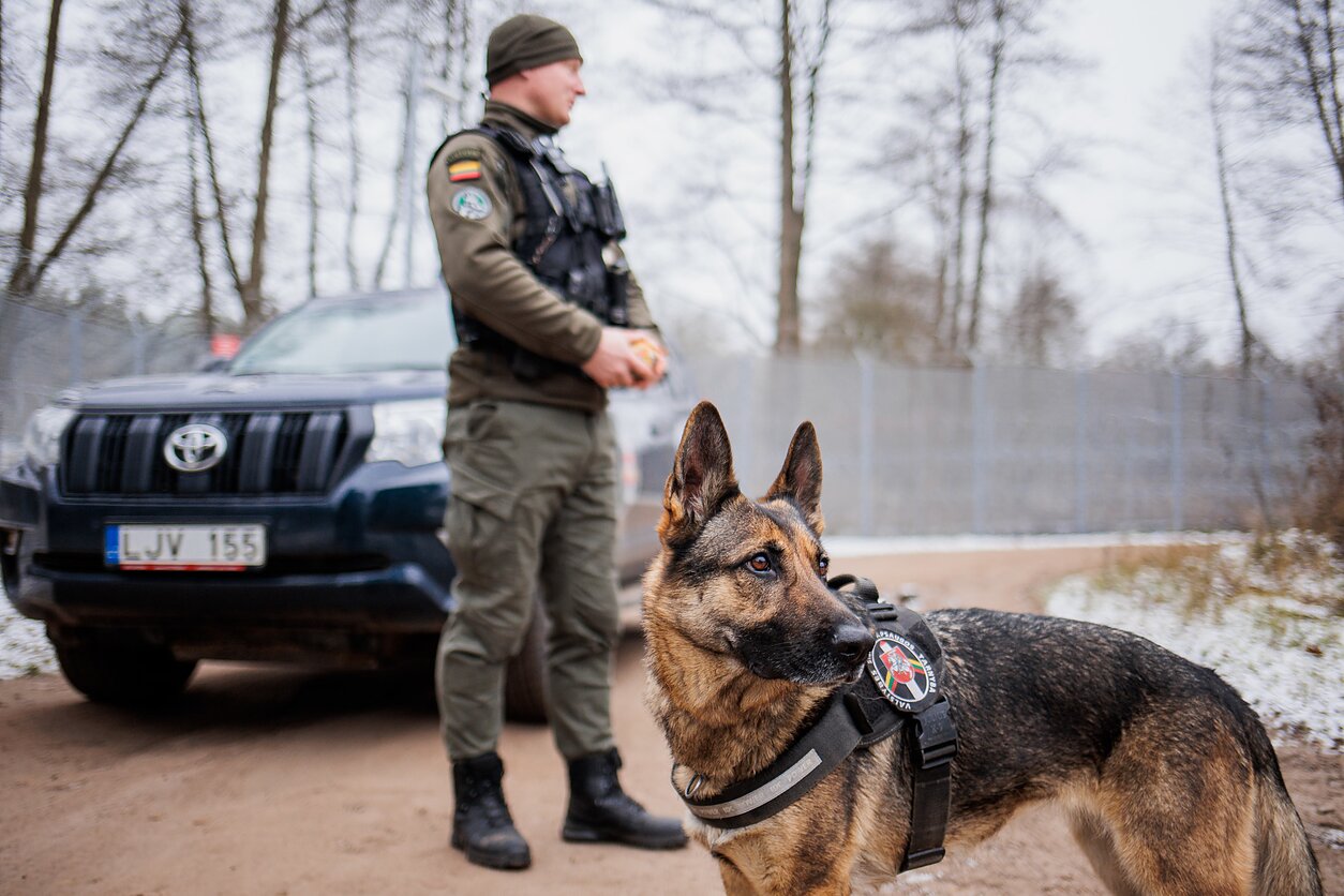 Tarnybinis pasieniečių šuo, asociatyvi nuotr.
