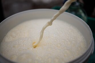 Pienas