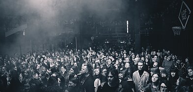 „Palaye Royale“ koncerto akimirka