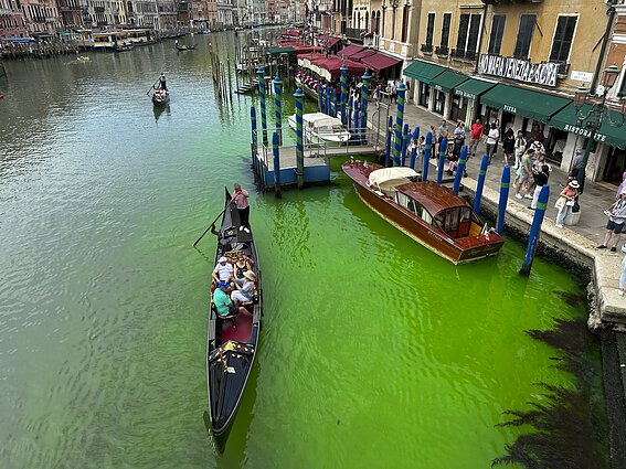 Venecijos bienalė