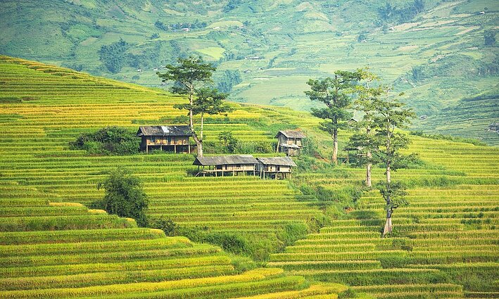 Balis, Indonezija
