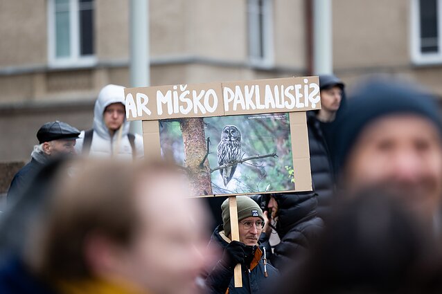 Protestas dėl miškų kirtimo
