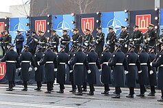 Iškilminga rikiuotė ir karinės technikos paradas Lietuvos kariuomenės 105-osioms metinėms Iškilminga rikiuotė ir karinės technikos paradas Lietuvos kariuomenės 105-osioms metinėms