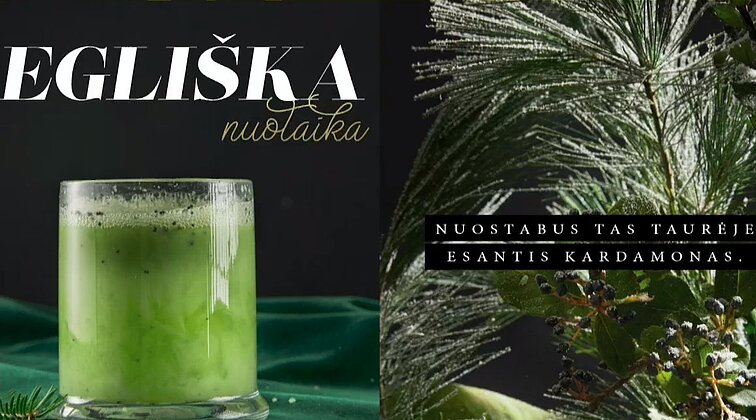 A. Ivanausko knygos puslapis