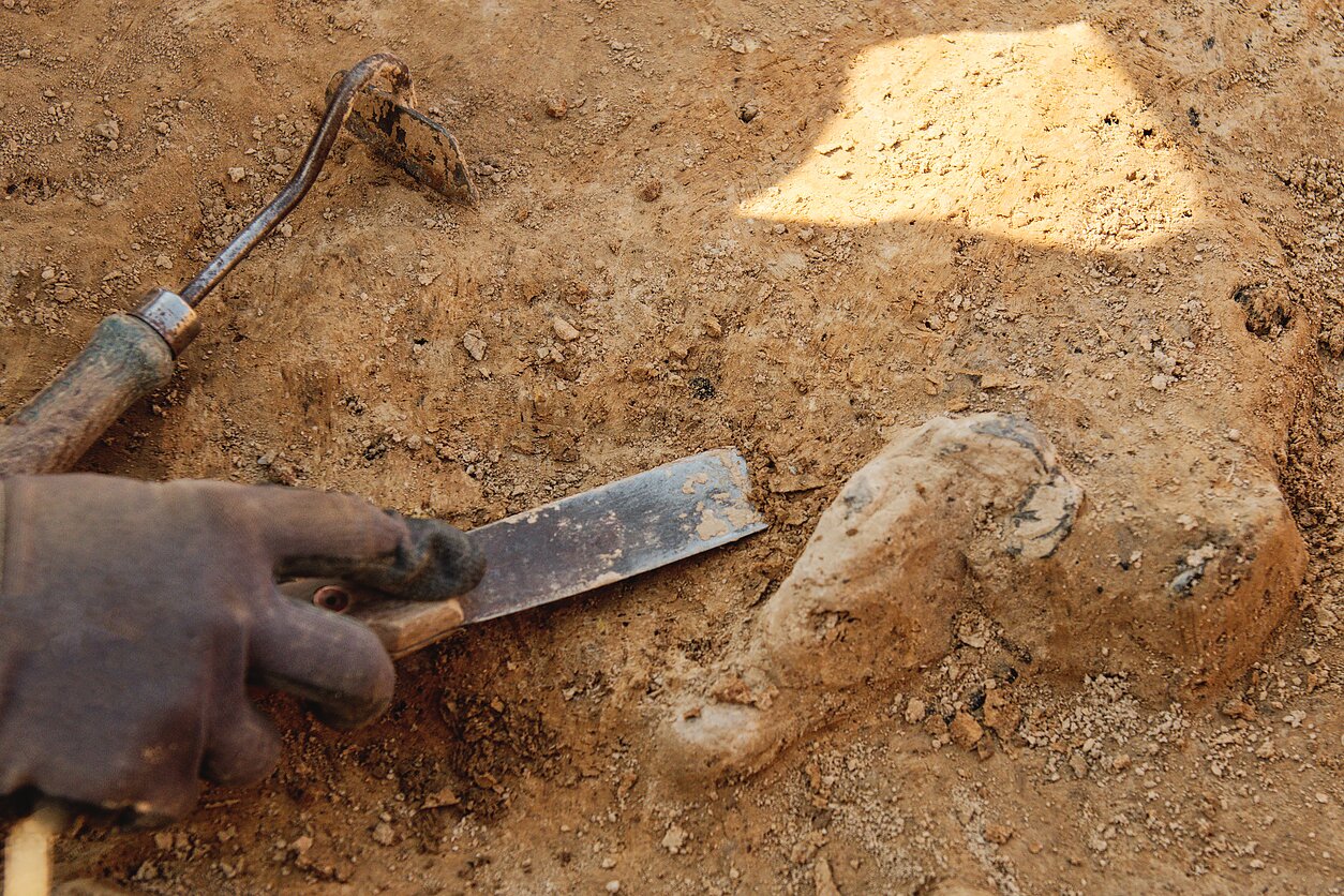Archeologija. Asociatyvi nuotr.