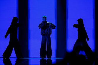 „Eurovizijos“ finalas
